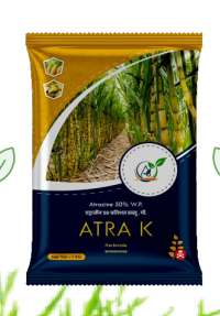 Aftra K